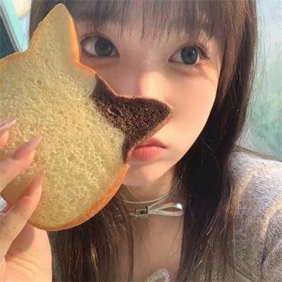 粉红火鹤的神秘凝视